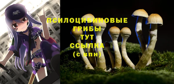 метамфетамин Абаза