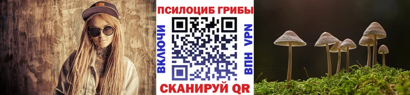 Псилоцибиновые грибы мицелий  где продают наркотики  Севастополь 