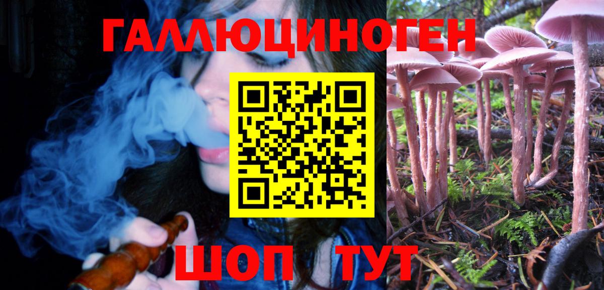 Галлюциногенные грибы Psilocybine cubensis  Вход с VPN  Галлюциногенные грибы ЛСД  Севастополь 